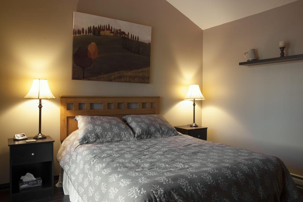 Emme Chalets Sainte-Lucie-de-Doncaster Phòng bức ảnh